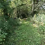 Domaine Des étangs Du Bois De L'abbaye Rejet-de-Beaulieu