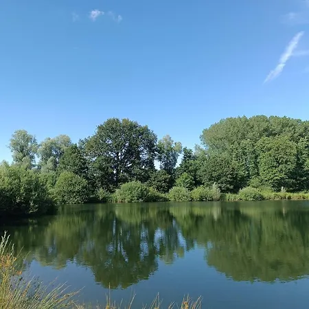 Сasa de vacaciones Domaine Des étangs Du Bois De L'abbaye Rejet-de-Beaulieu