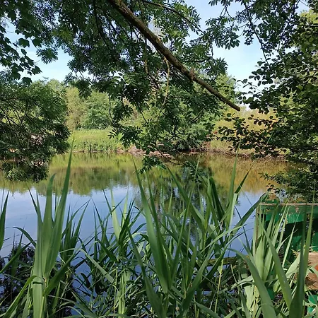 Domaine Des Etangs Du Bois De L'abbaye * Rejet-de-Beaulieu