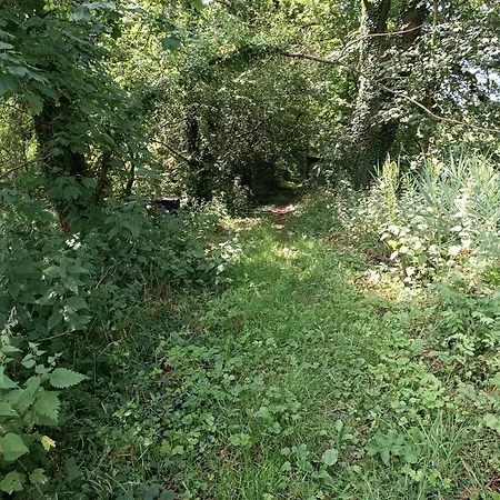 Domaine Des Etangs Du Bois De L'abbaye Rejet-de-Beaulieu